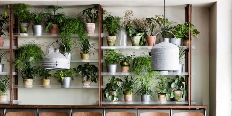 Biovertigo decora gli interni con piante e fiori veri - Lounge-tek
