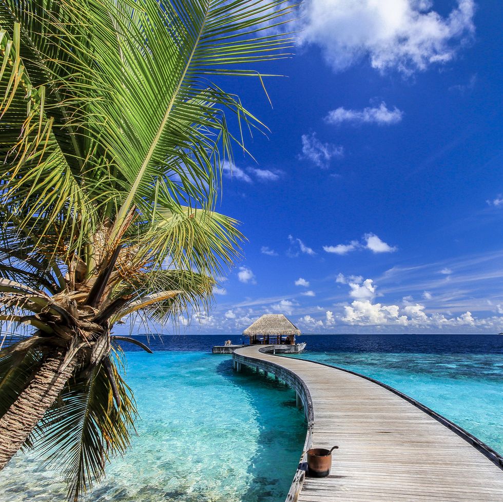 maldives veranda most beautiful beaches in the world