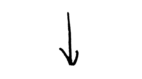 Line, Font, Saguaro, Plant, Logo, Black-and-white, 