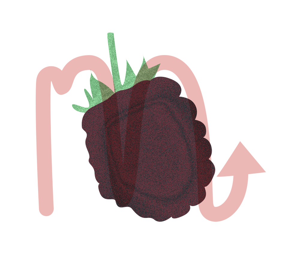 Logo, Illustration, Plant, Graphics, Fruit, Tulip, 