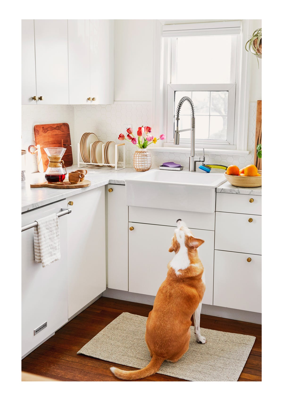 Modern Kitchen White Dish + Hand Soap bottles + scrubby + bamboo tray SET