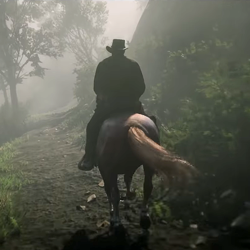 Nature, Atmospheric phenomenon, Trail riding, Mist, Natural environment, Forest, Horse, Sunlight, Screenshot, Recreation, 