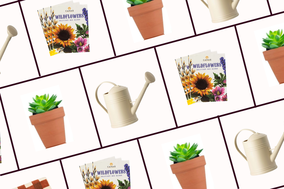 gardening supplies including pots a watering can and wildflower seed packets