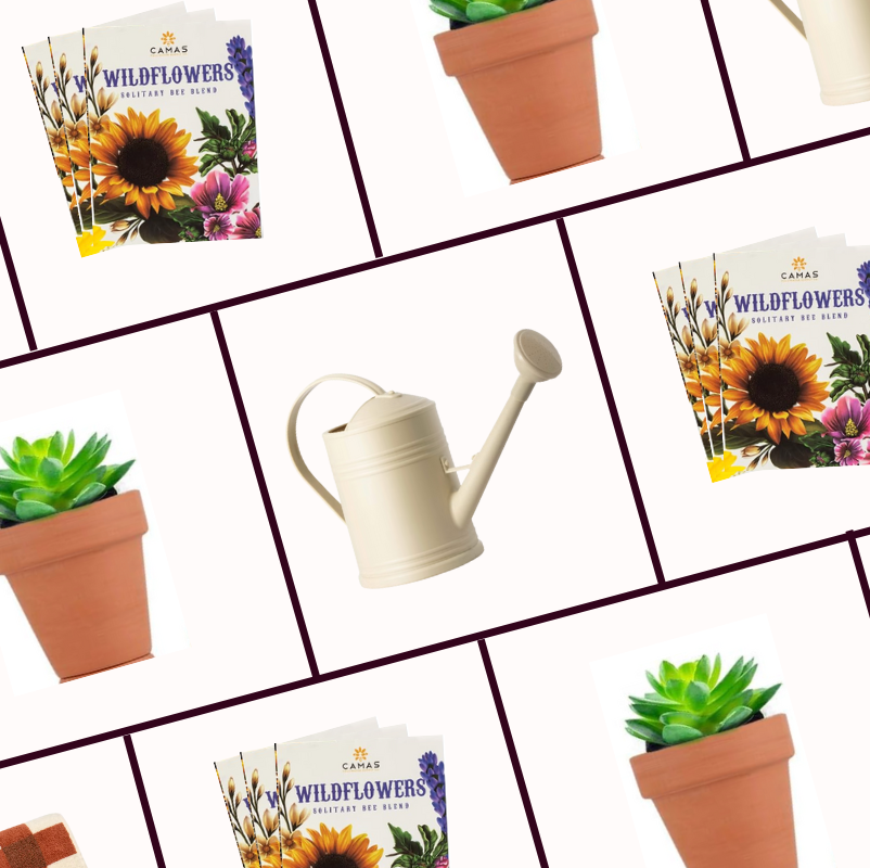 gardening supplies including pots a watering can and wildflower seed packets gardening supplies including pots a watering can and wildflower seed packets