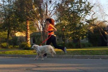 Shary Willis dog runner