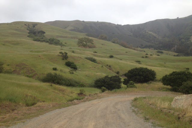Old Coast Road