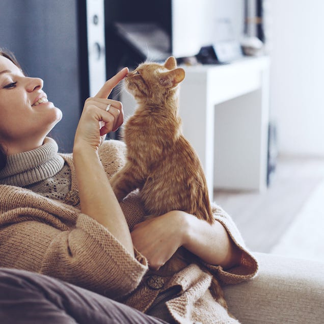 10 Things All 'Cat Ladies' Do but Never Admit To | Women's Health 10 Things All 'Cat Ladies' Do but Never Admit To | Women's Health