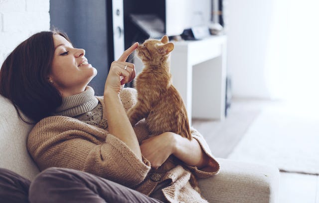 10 Things All 'Cat Ladies' Do but Never Admit To