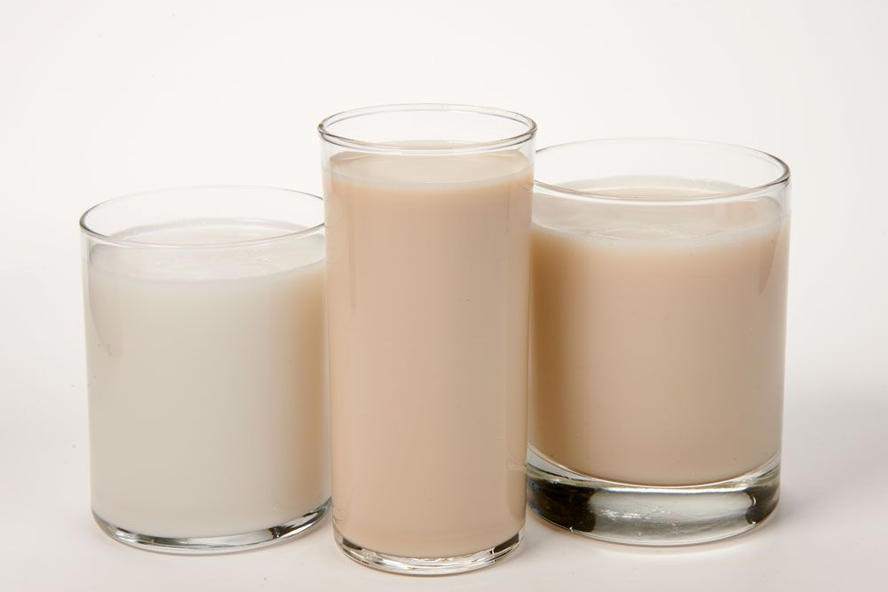 A daily glass of goat milk? Here's what you need to know