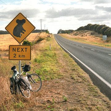 Koala crossing sign with bicycles in Australia