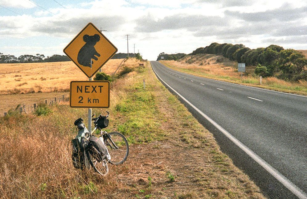 Koala crossing sign with bicycles in Australia