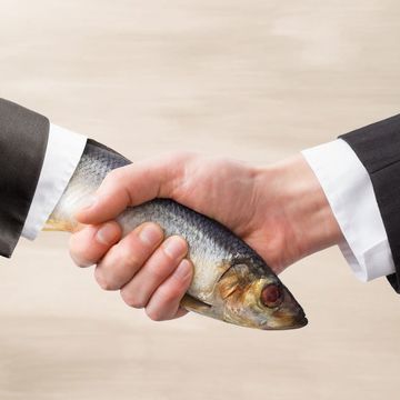 dead fish handshake