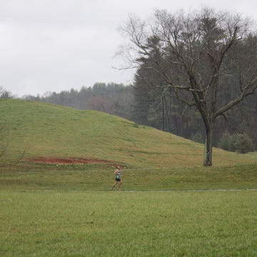 Robert running in N.C.