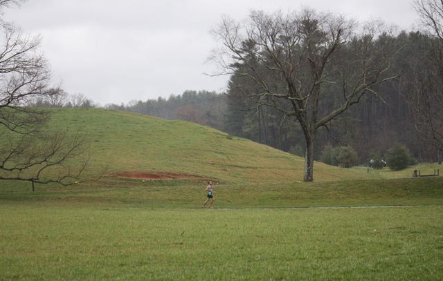 Robert running in N.C.
