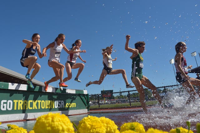 2015 NCAA Track and Field Championships