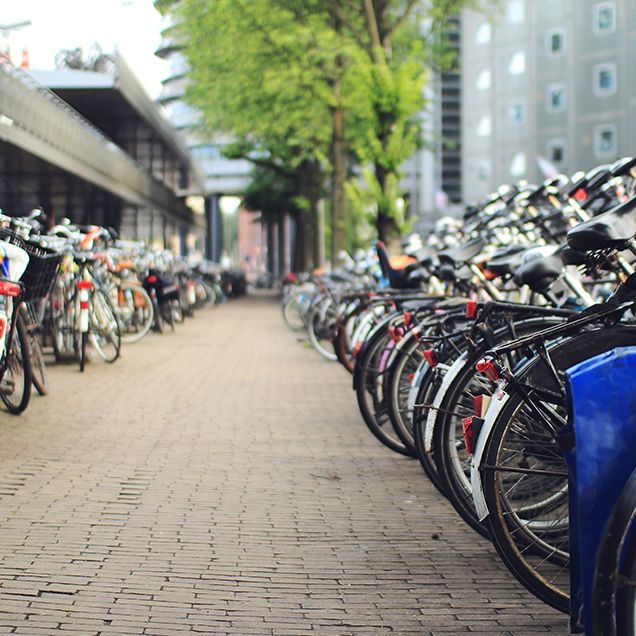 Two rows of parked bicycles. 