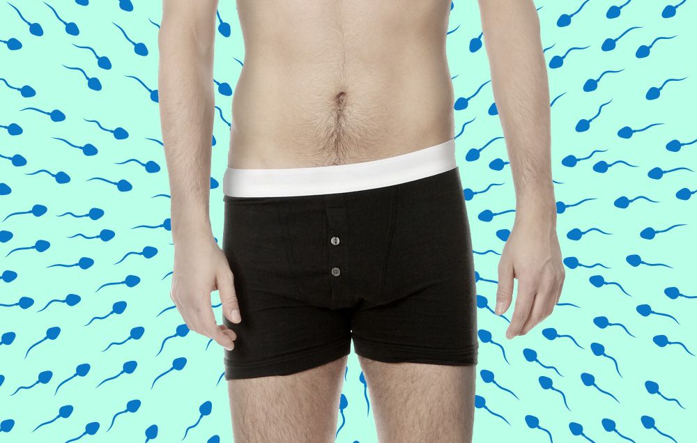 How Your Choice of Underwear Affects Sperm Production - Seattle Sperm Bank