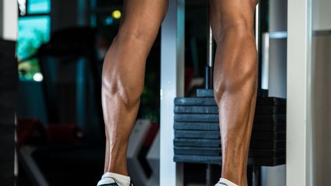preview for Calf Training Tips