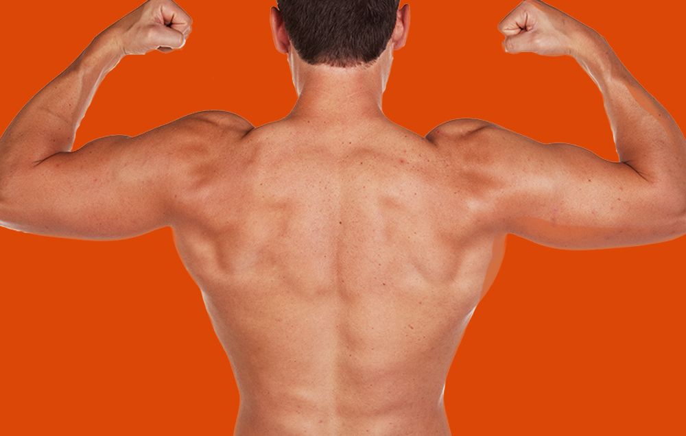 best workout for your back