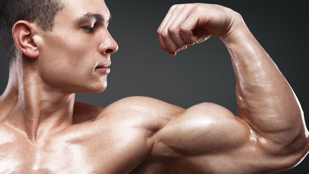 Arm workouts and shoulder exercises for tone biceps and triceps