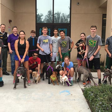 St. Joseph High School and dogs St. Joseph High School and dogs