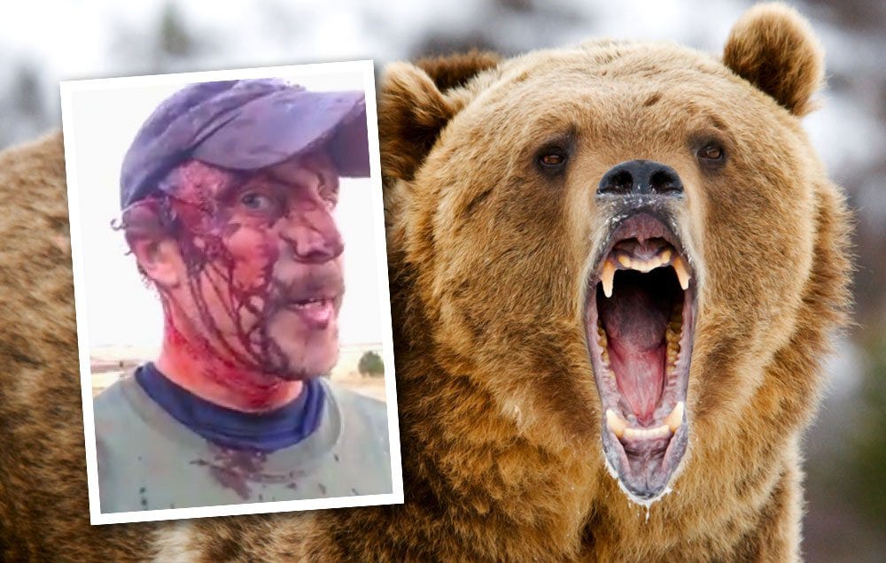 How to Prevent Bear Attacks, According to Experts