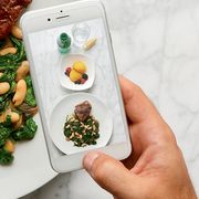 November 2016 Fridge Wisdom meal snap app phone