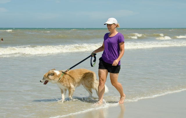 Prosthetic leg found on beach returned to woman who lost it while