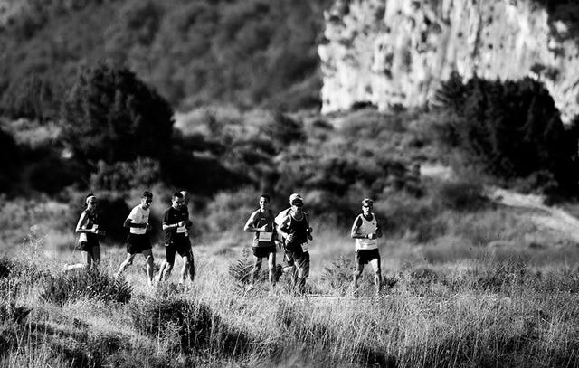 Navarino Challenge