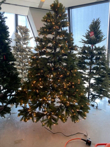 artificial christmas trees in the gh lab