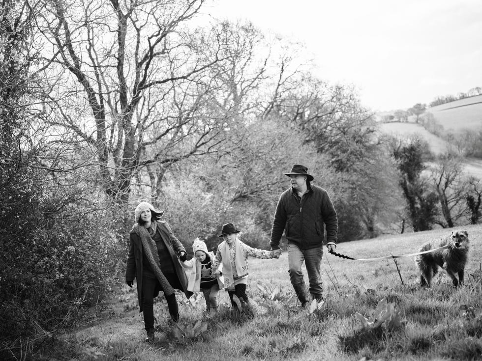 artisan food producer summerhill farm geese