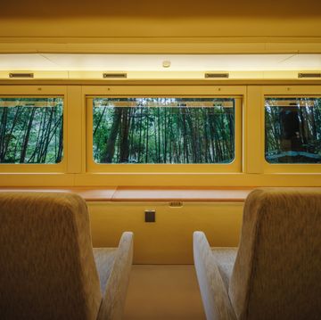 阿里山林鐵再獻新作「栩悅號」！舊車廂彩繪改造、大片森林窗景，漫遊在百年森林中的夢幻之旅