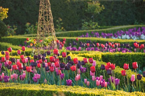 arundel castle gardens