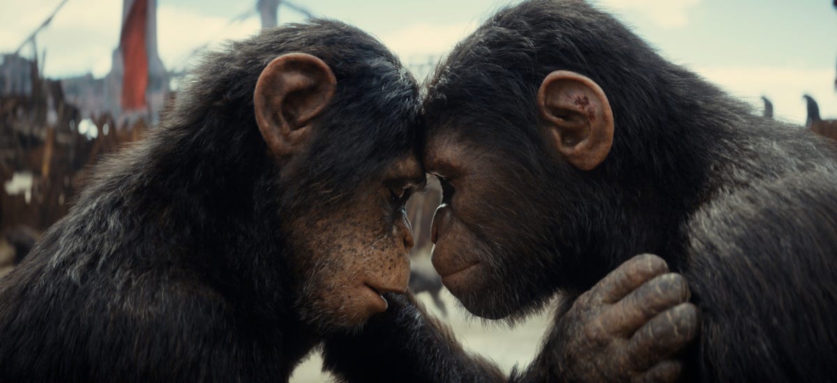 The Big Problem With Kingdom of the Planet of the Apes 