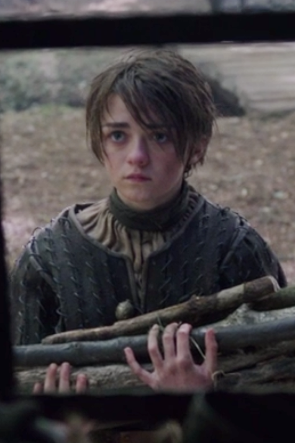 Arya Stark Season 2