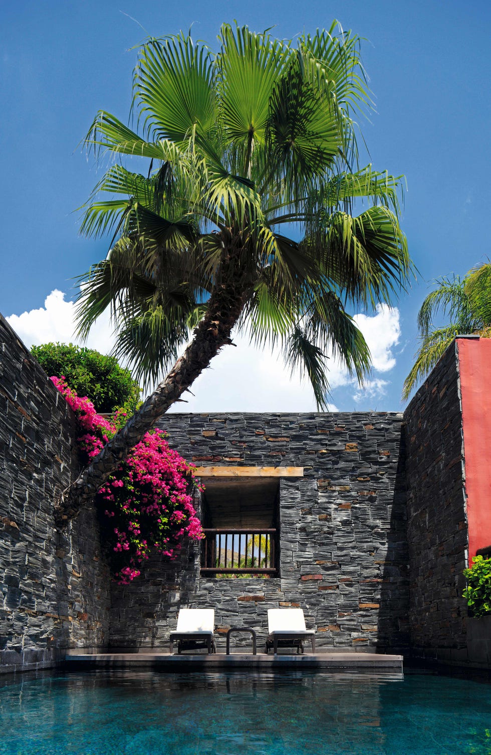 a house with a palm tree and a pool