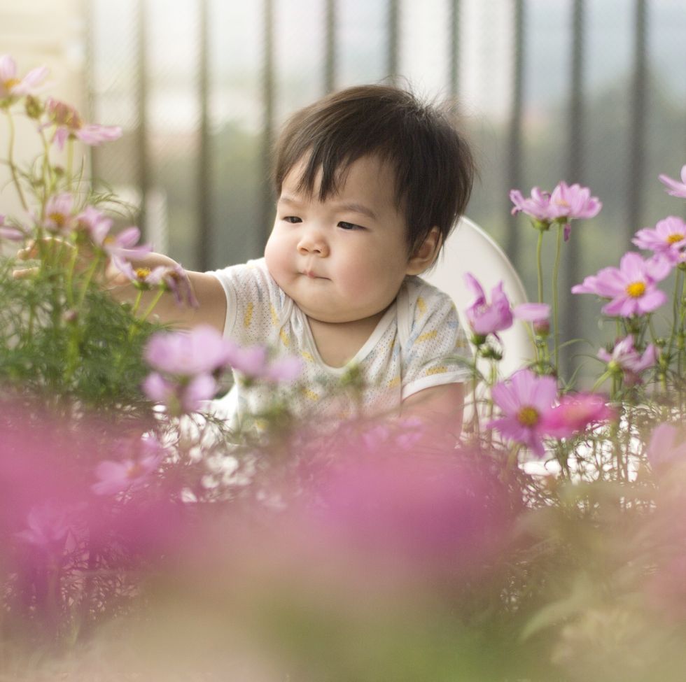 spring flower baby names violet