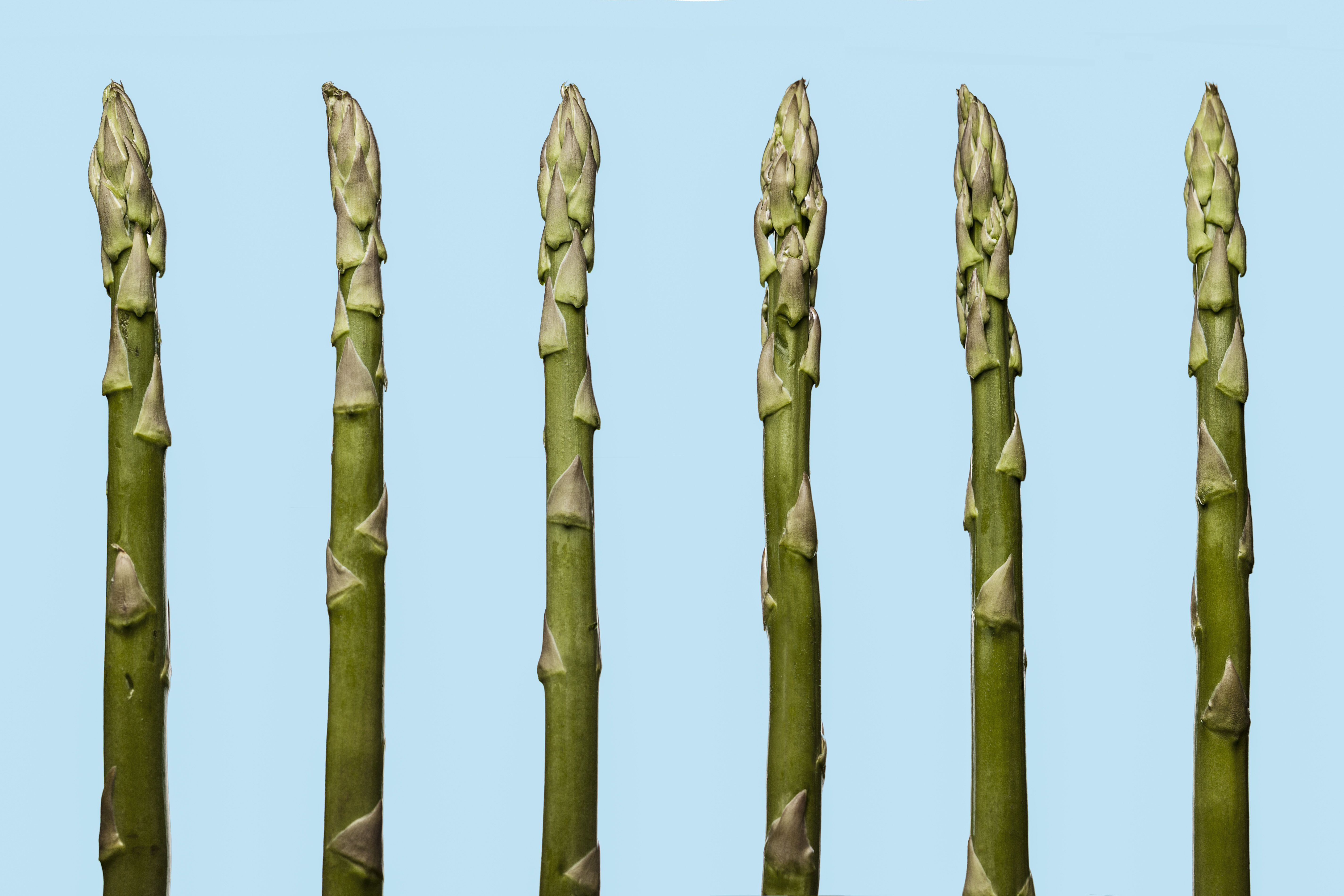 Asparagus