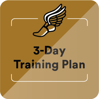 3 day marathon plan 3 day marathon plan