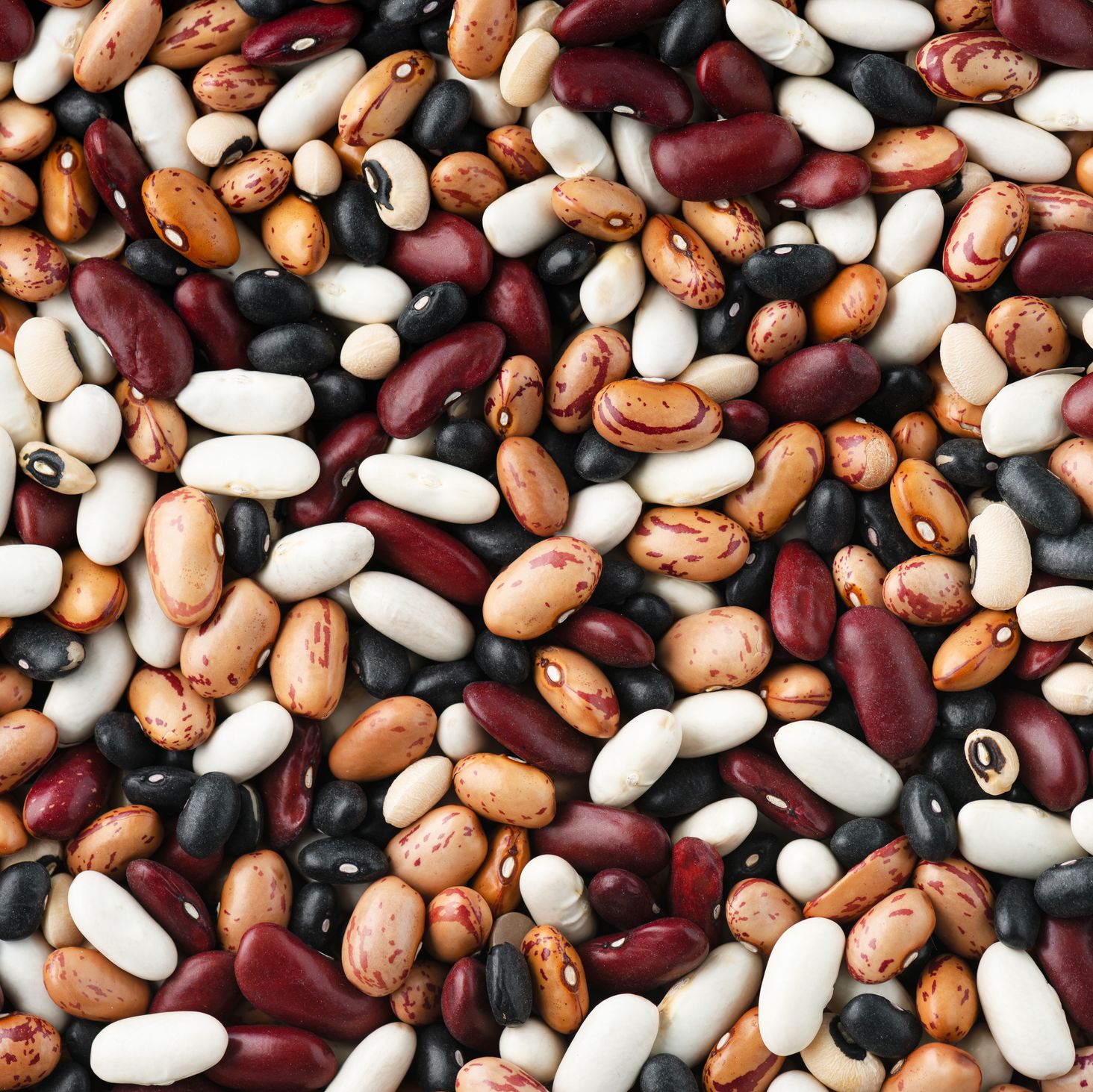 assorted mix of red and white beans