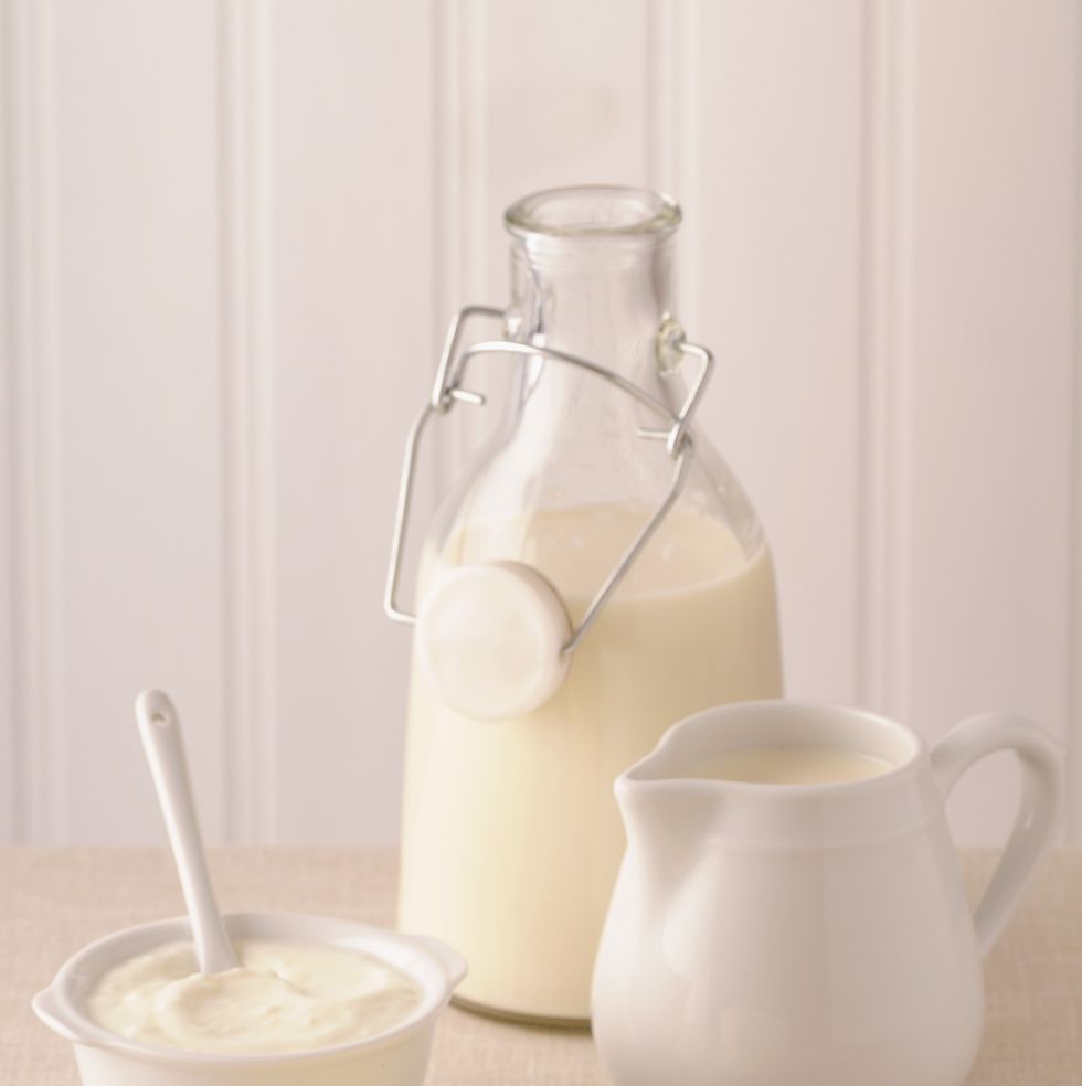 foods never to give dogs dairy