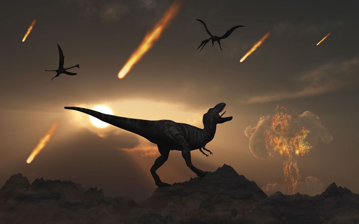 Zon 66 miljoen jaar geleden zorgde de inslag van een enorme meteoriet bij Chicxulub voor de kust van Mexico voor verduistering van de hemel en een wereldwijde afkoeling waardoor alle dinosaurussen behalve vogels uitstierven