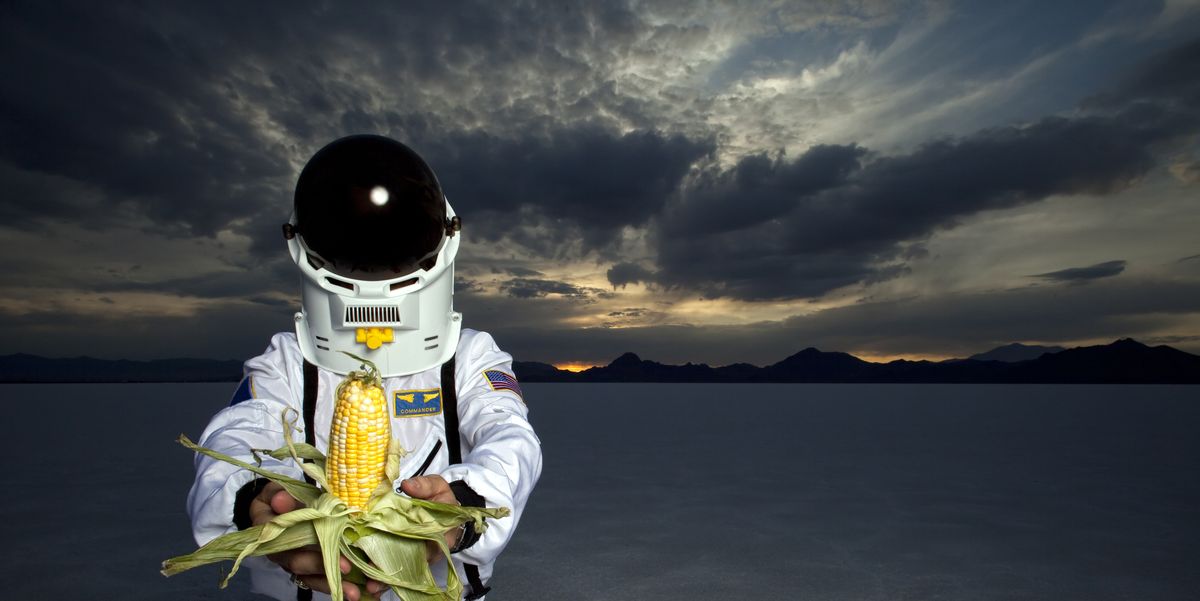 According to researchers, this is the ideal meal for astronauts