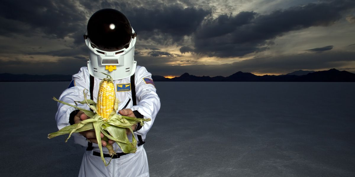 According to researchers, this is the ideal meal for astronauts