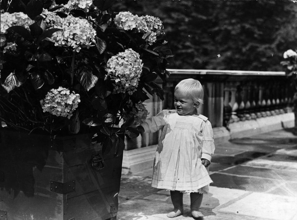 菲利普親王 去世 99歲 回顧照片 希臘王子 童年