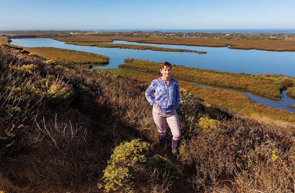 scientist kerstin wasson is helping oversee efforts to keep the olympia oyster from going locally extinct in elkhorn slough, located between santa cruz and monterey