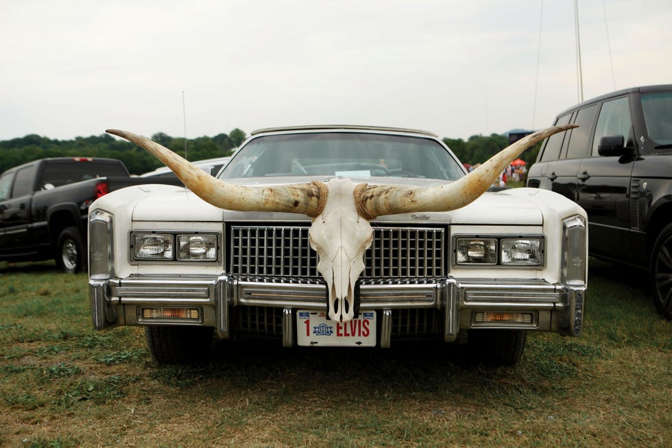 longhorn skull, cadillac