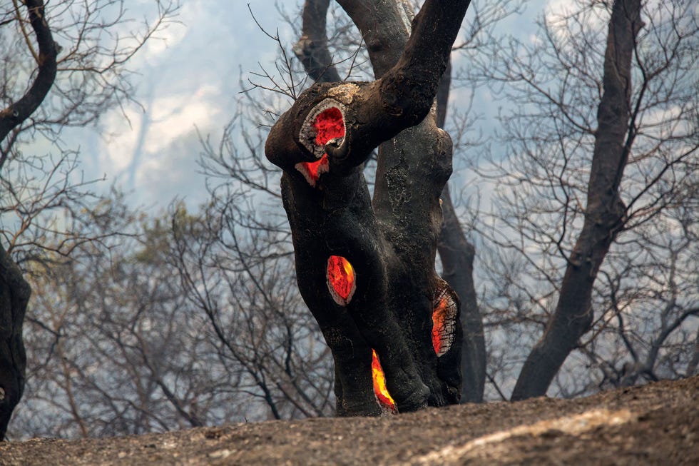 david royal, sky ranch, wildfires, east carmel valley