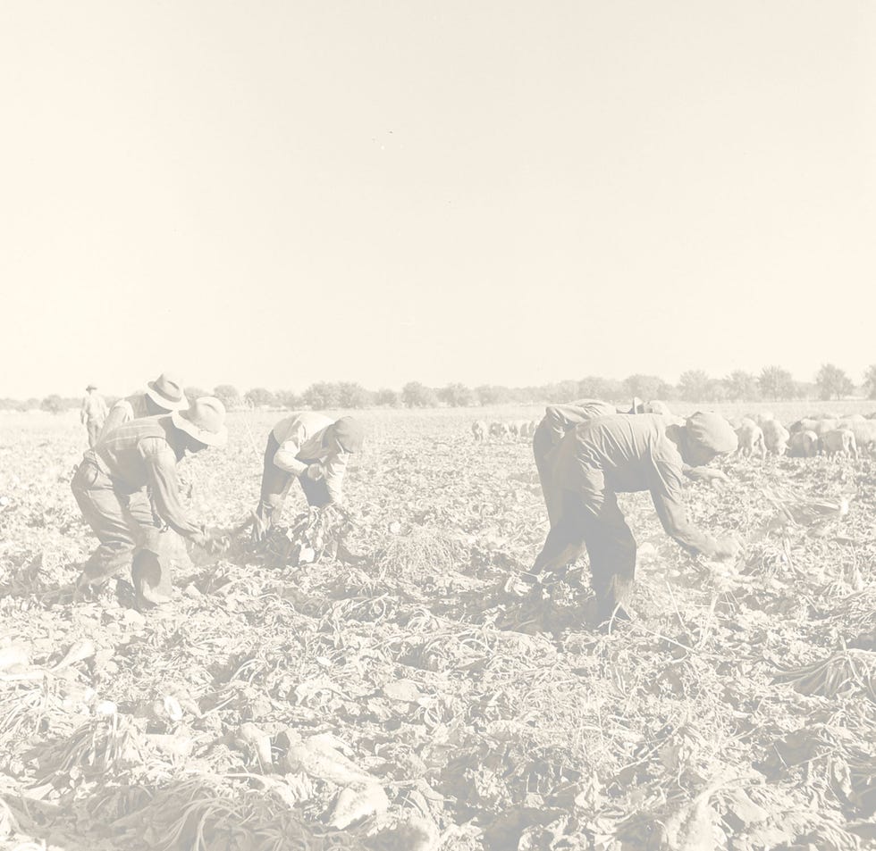 farmers