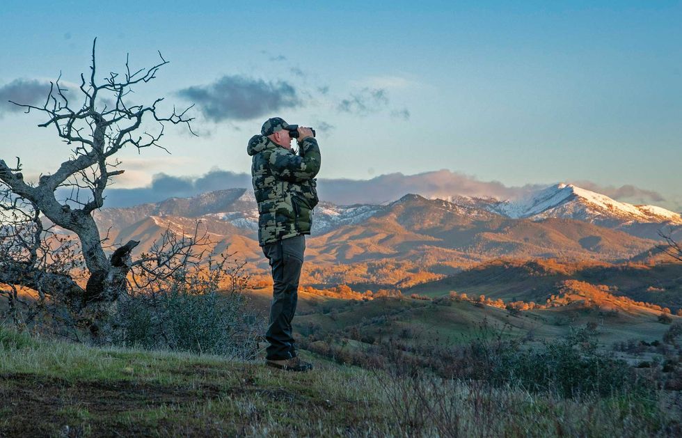chittim surveys the trinity alps for wild boars, in 2020, california’s department of fish and wildlife collected more than $1 million from pig hunting permits